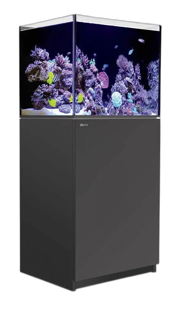 Red Sea Reefer 250